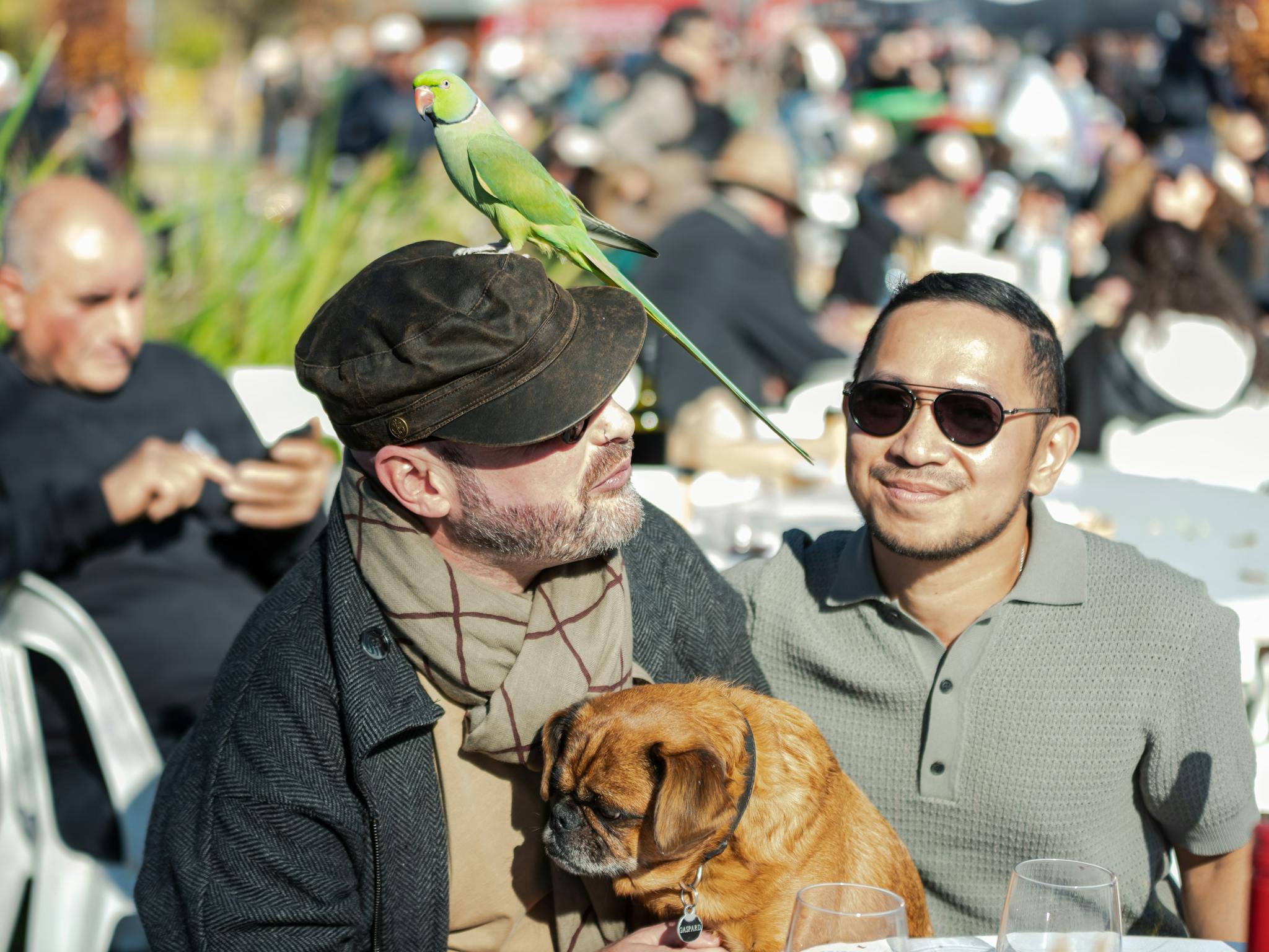man holding a pet and a parrot sitting on his head, man looking at them