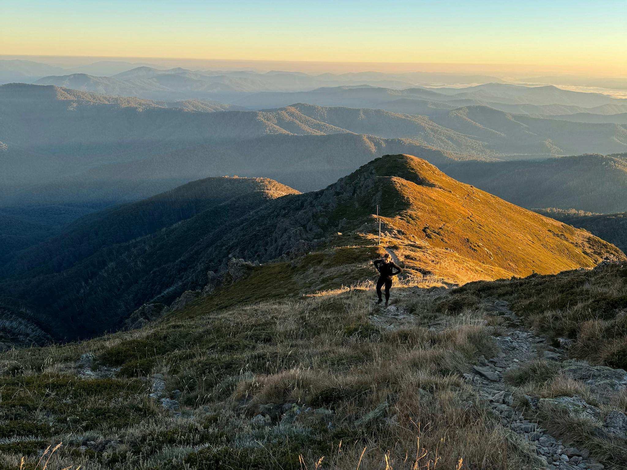 mt bogong