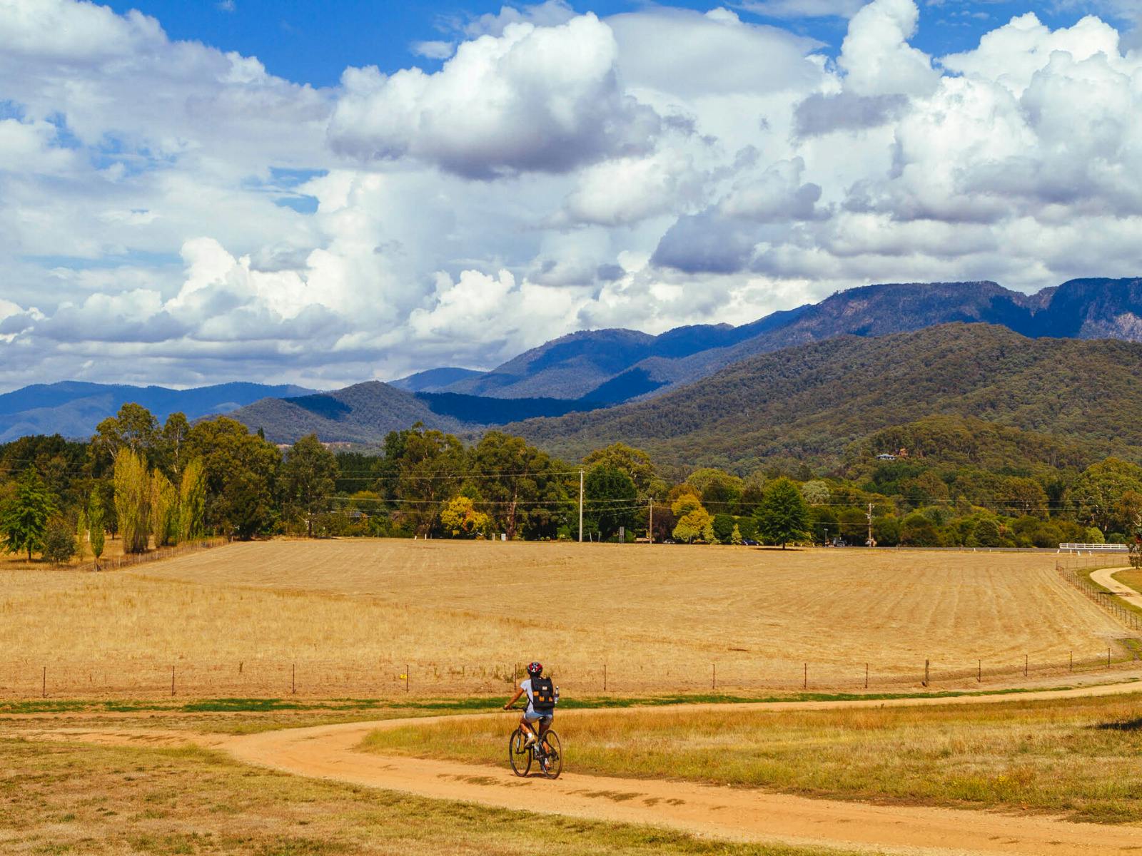 Cycling the Murray to Mountains Rail Trail near Bright.