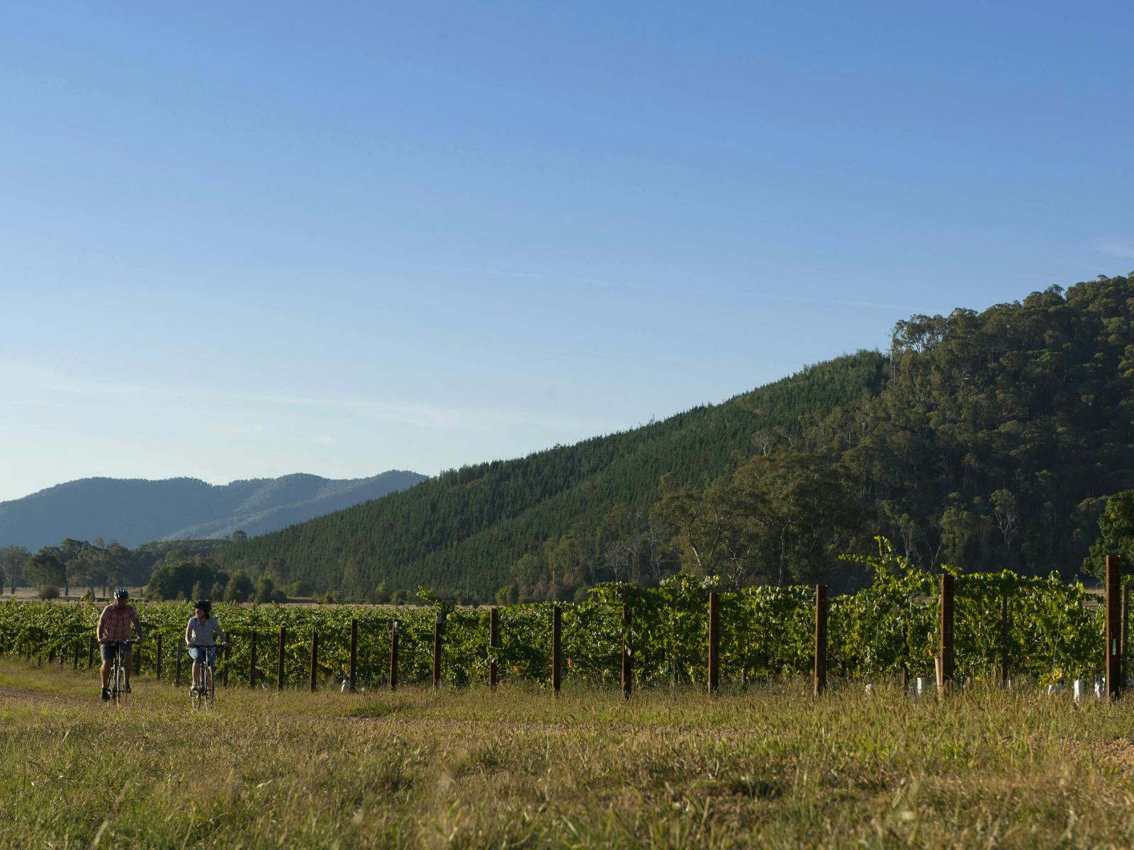 Cycling the Great Victorian Rail Trail.