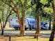 Large sites close to the pool, playground or bushland.