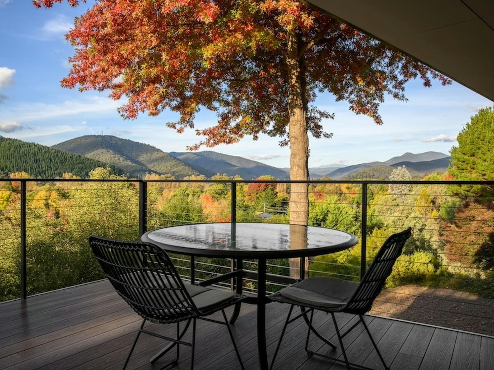 outdoor dining the view