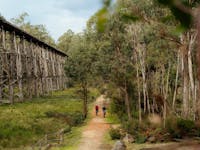 East Gipplsand Rail Trail