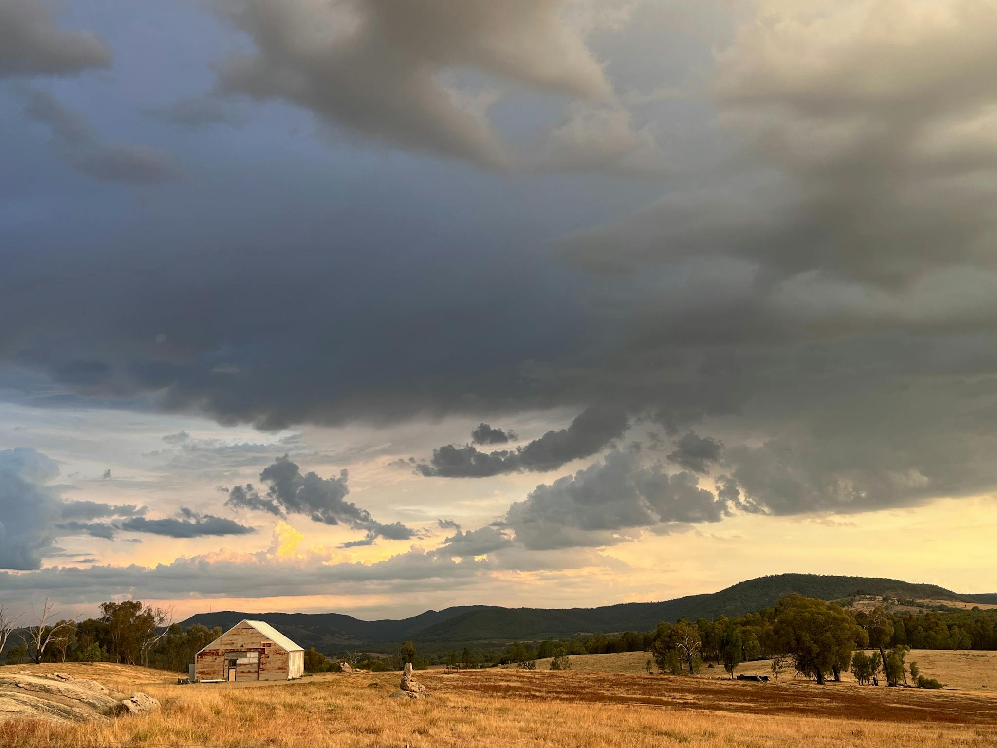 A corrugated iron workshop on a hill in a paddock