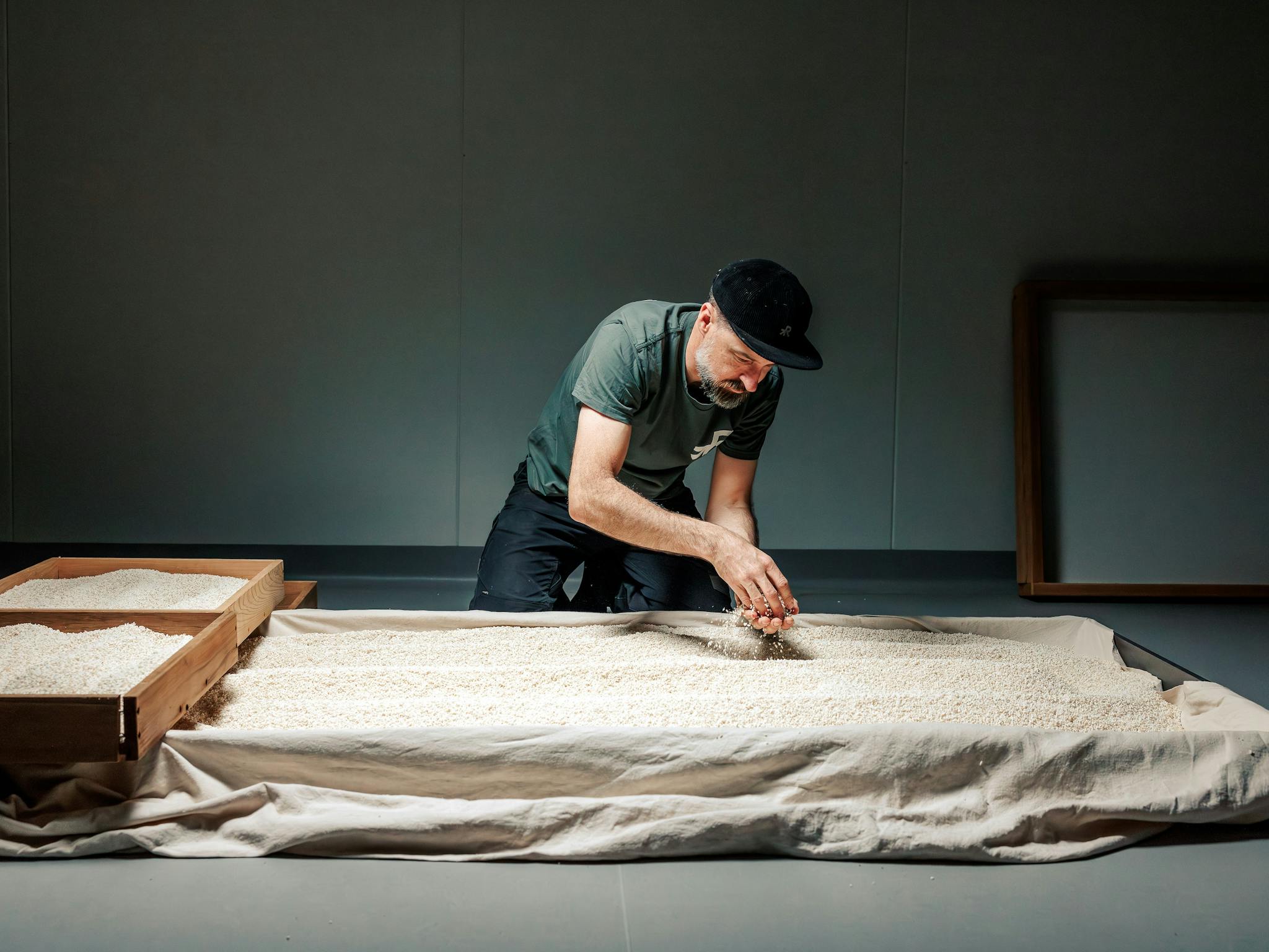 A man in a grey tshirt bends over a table of rice grains.