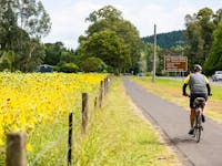 Murray to Mountains Rail Trail cyclist riding on the trail