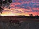 Amazing sunsets looking over Ned Kelly's look out