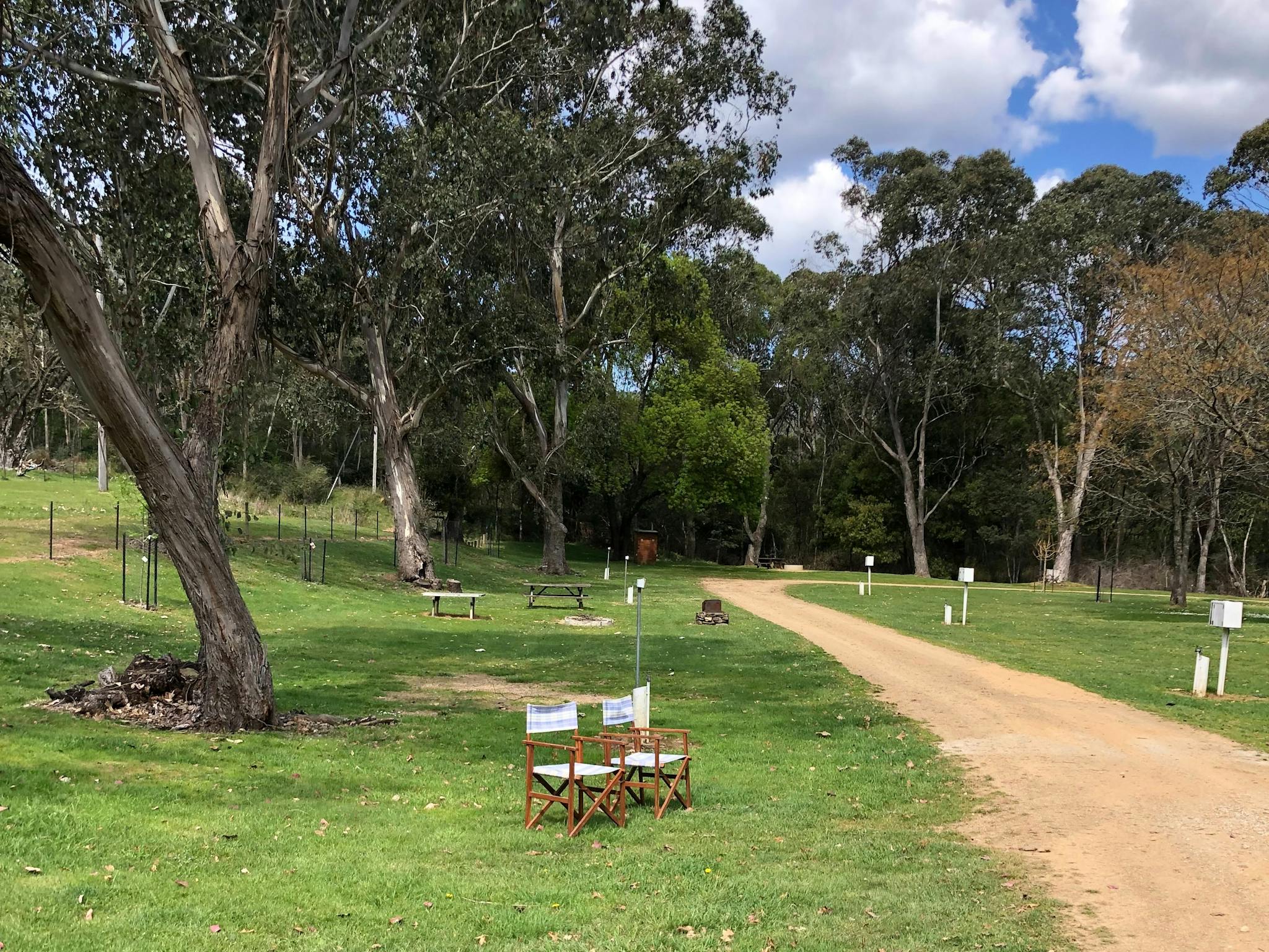 Spacious Grass Sites at Wandiligong Camping Ground