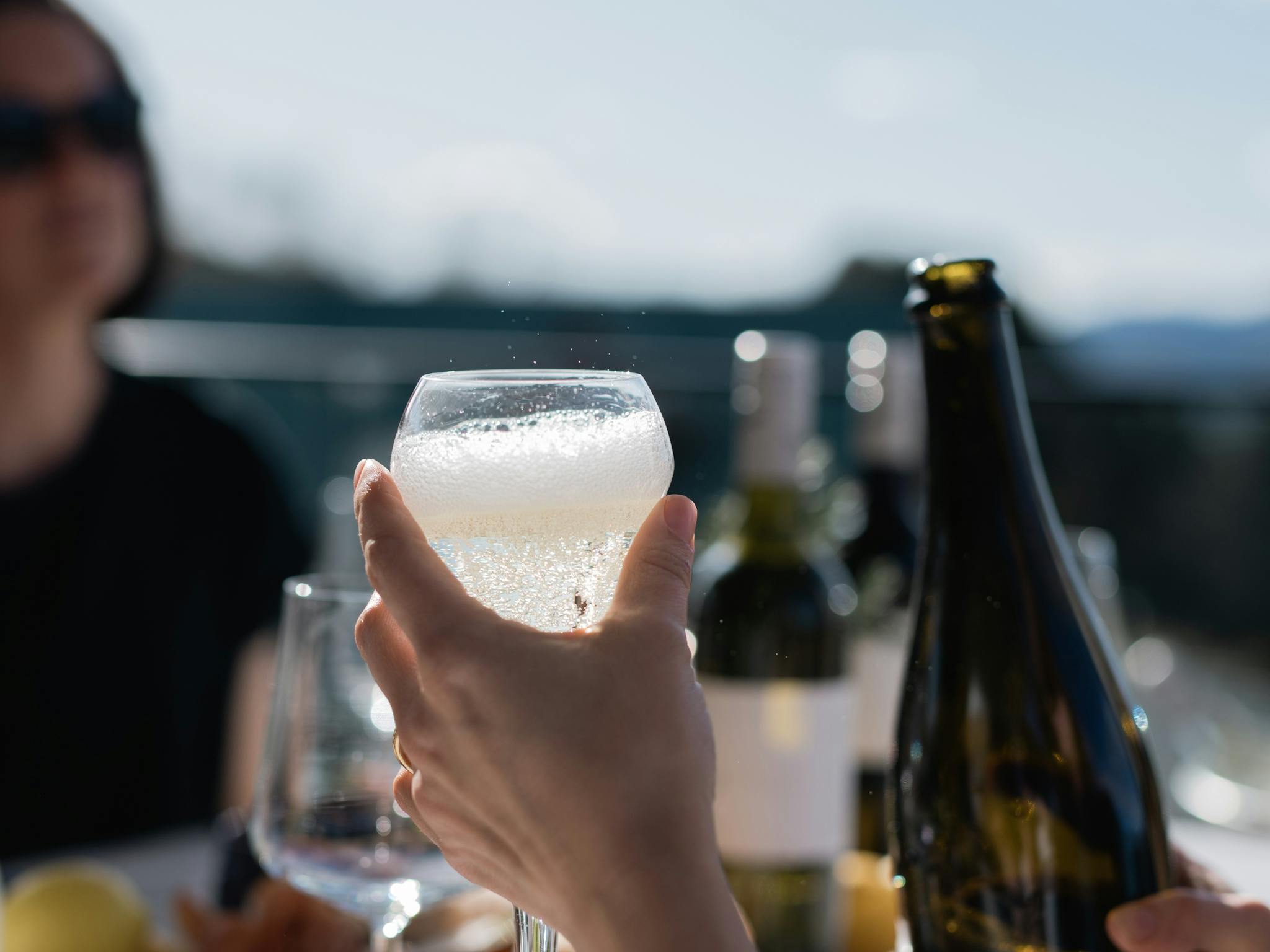 Feathertop Prosecco Mount Buffalo View Apartment