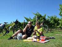 The Bike Hire Company