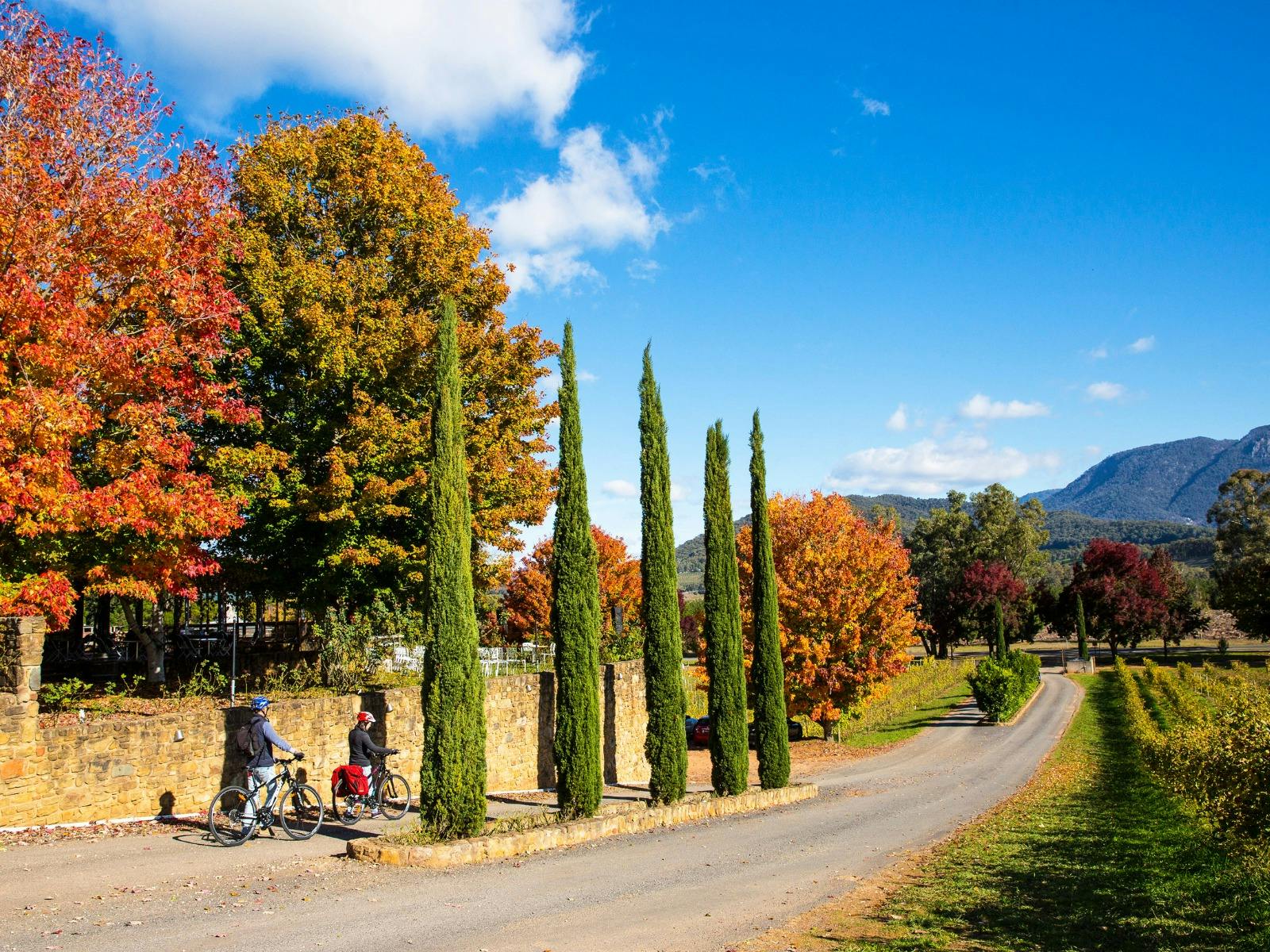 Murray to Mountains Rail Trail