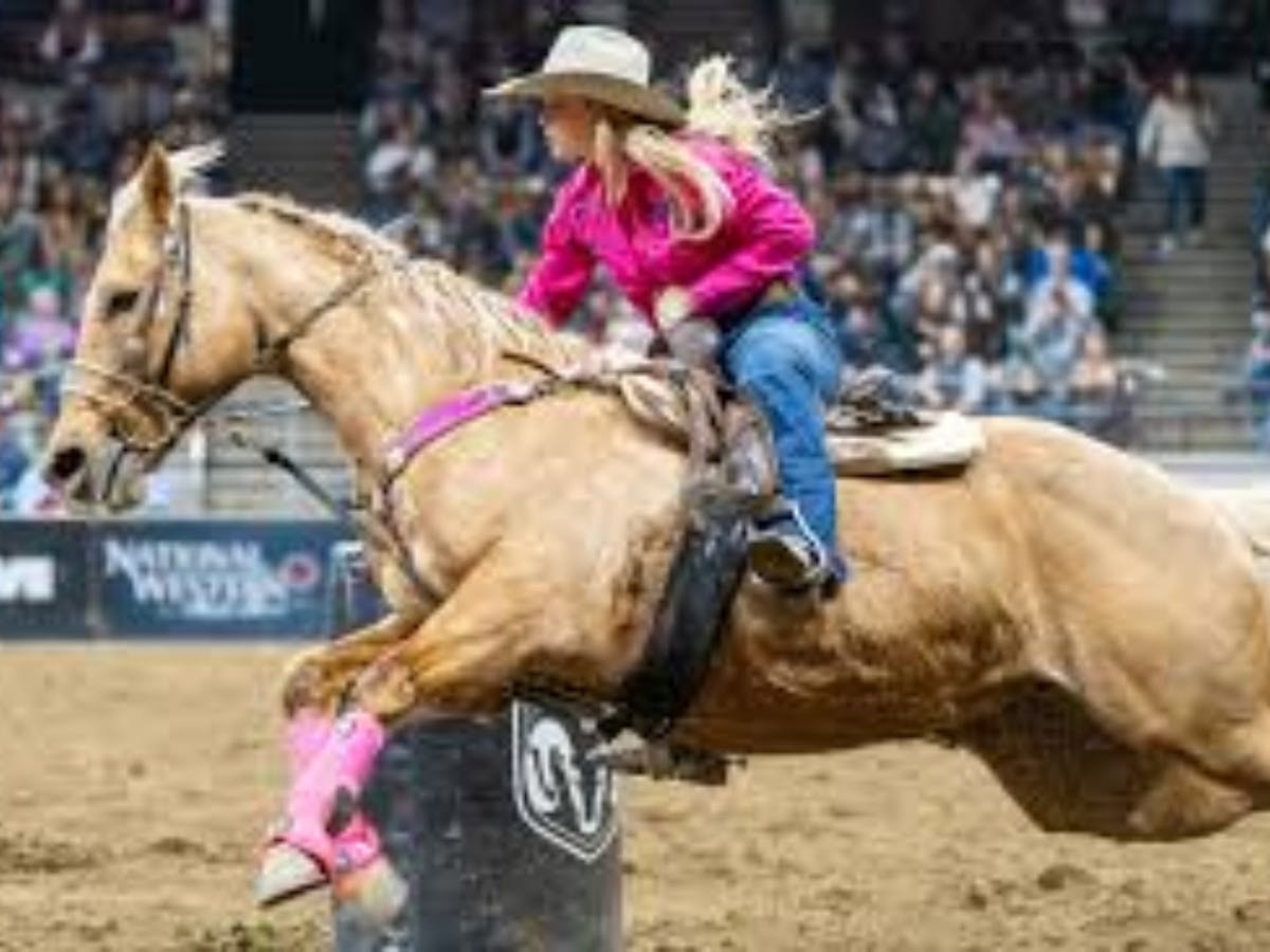 Renmark Rosé Rodeo Wine Show