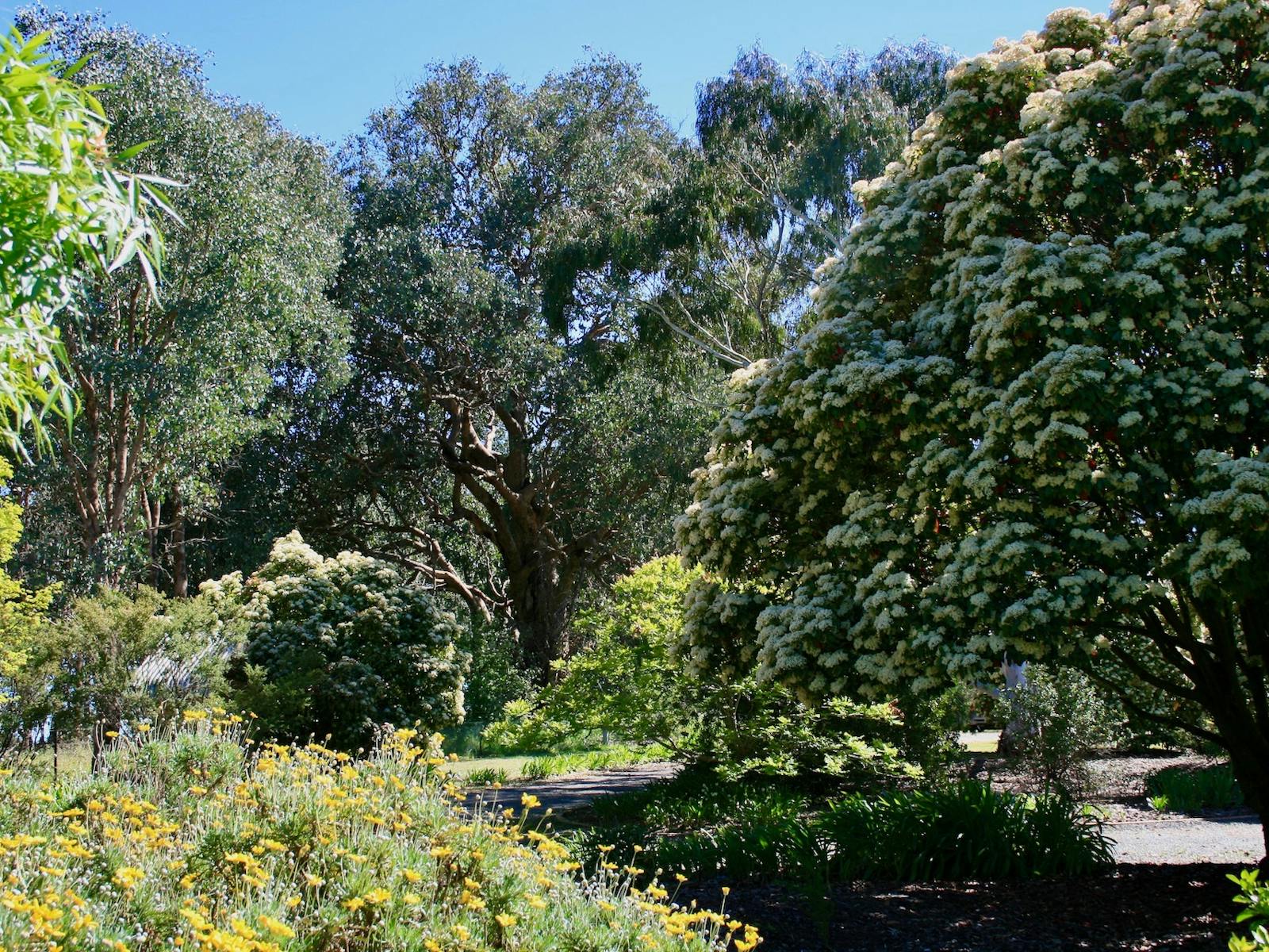 Serena Cottages - In The Garden