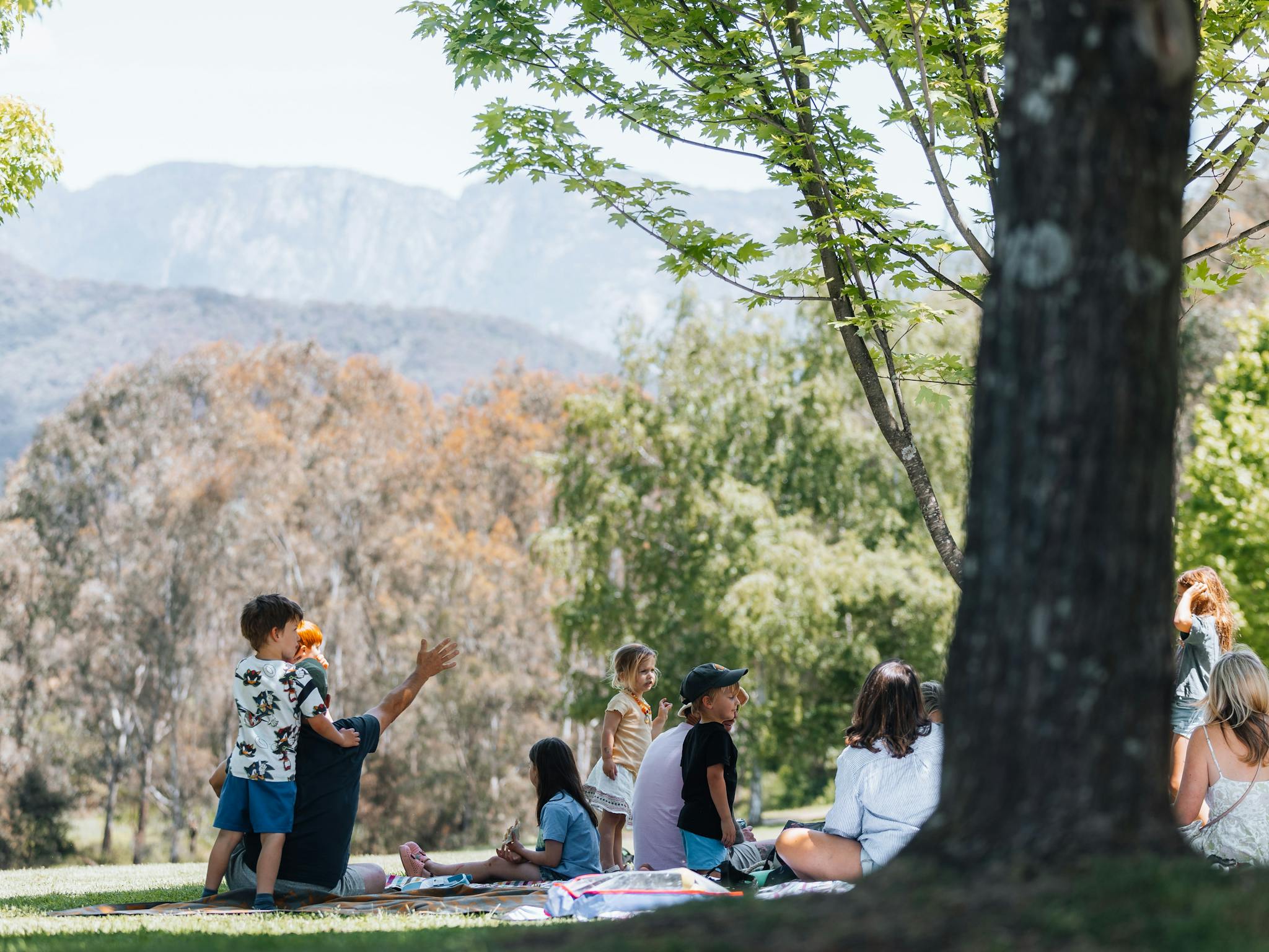 Family enjoying themselves on the lawn at Ringer Reef