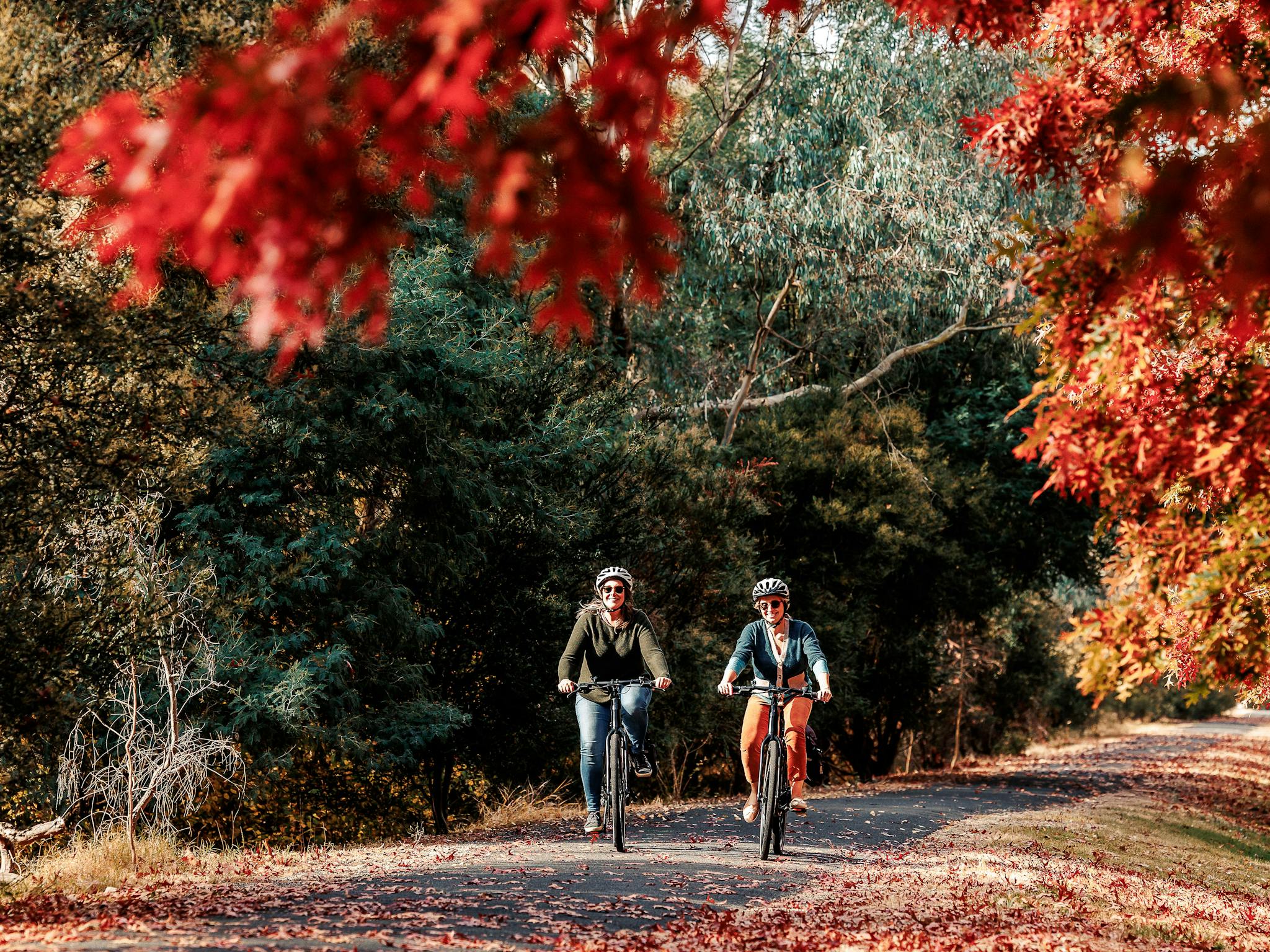 Riding the scenic Murray to Mountains Rail Trail