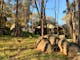 Natures playground... Cabins surrounded with large granite boulders