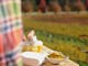 Mount Buffalo View Apartment cheese platter