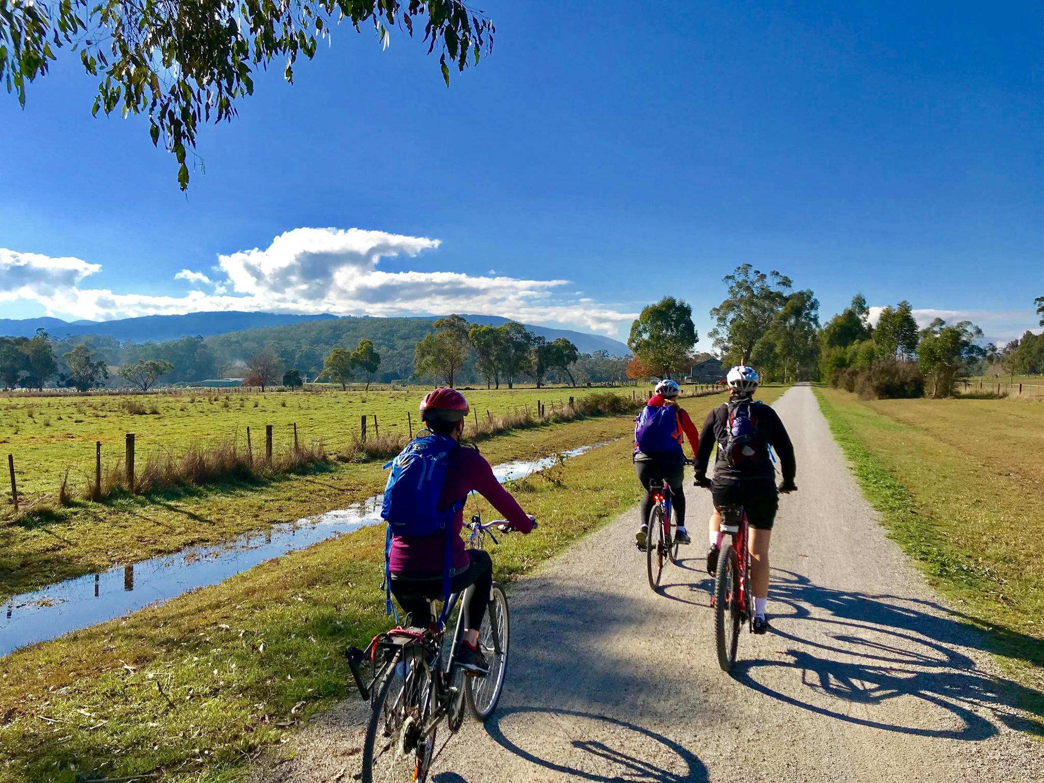 Cycling in the Yarra Valley