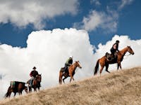 Pack Horses cross the plains