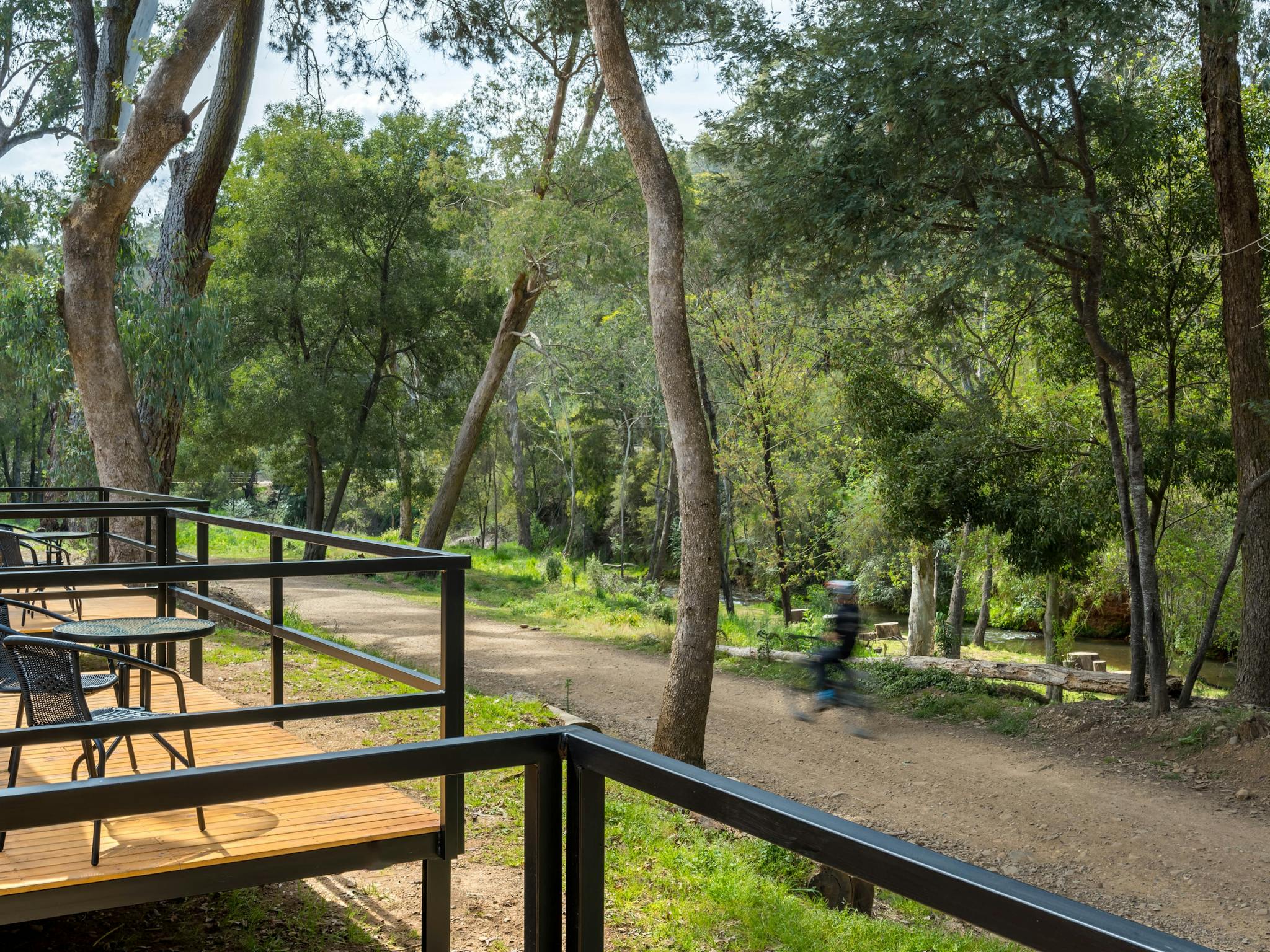 Tiny Home View from deck