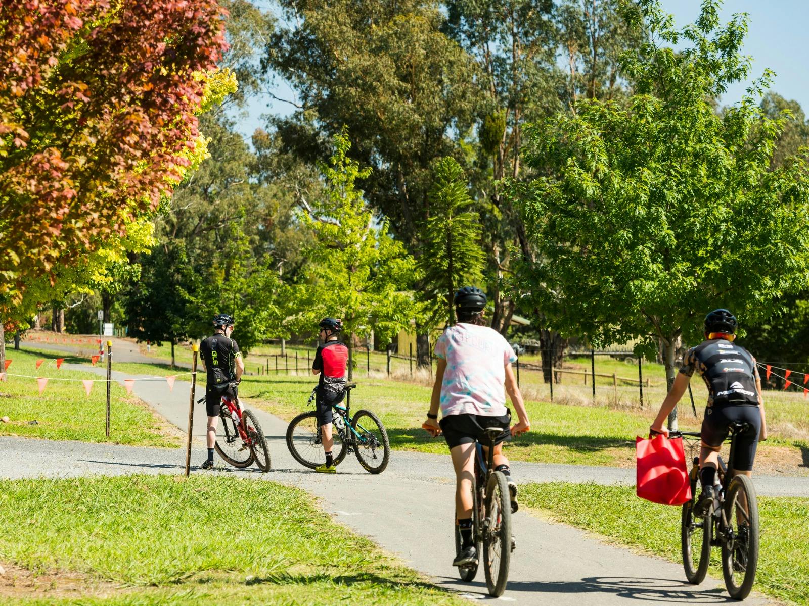 Murray to Mountains Rail Trail