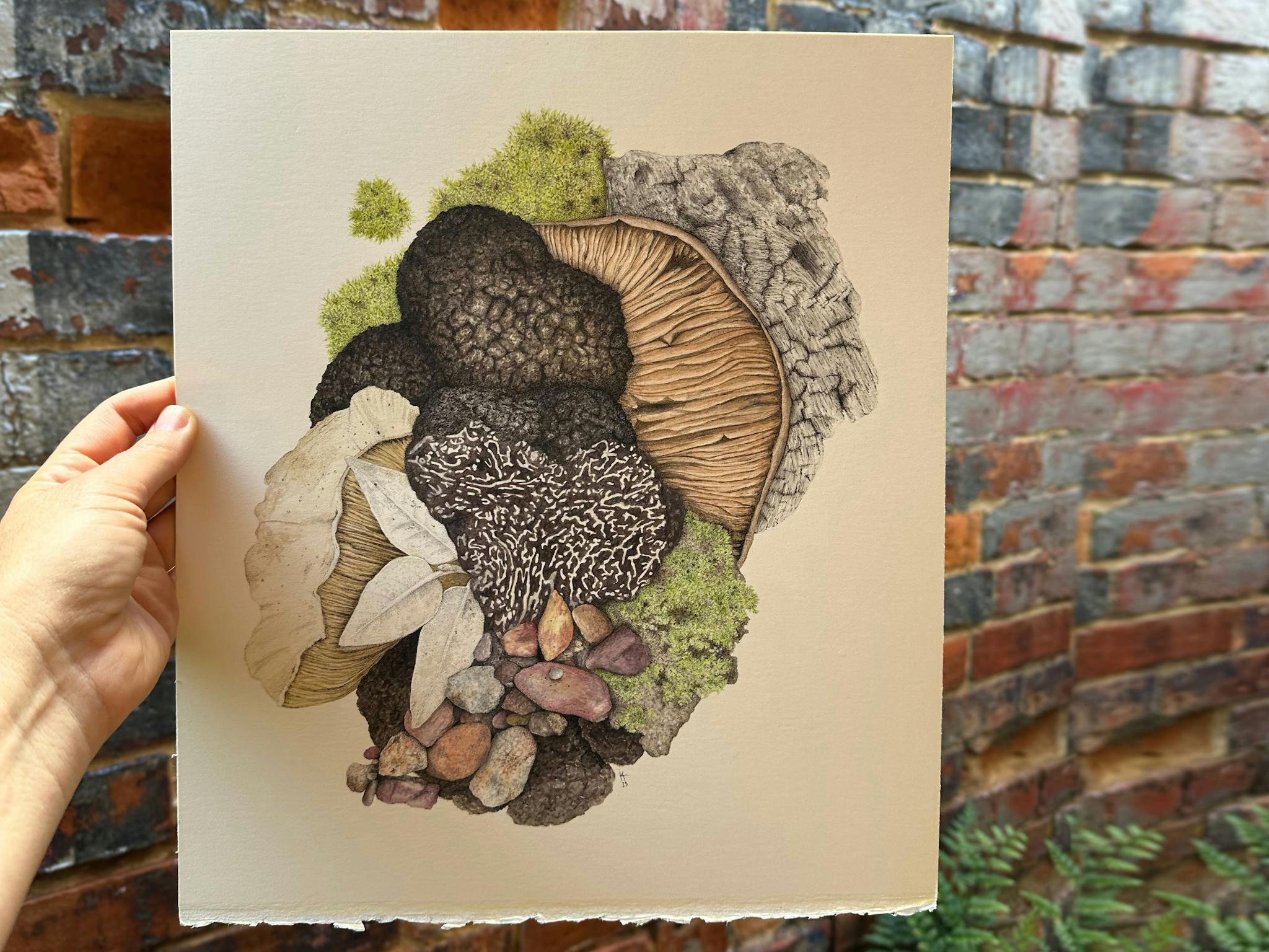 Original Artwork on paper by Kirrily Anderson