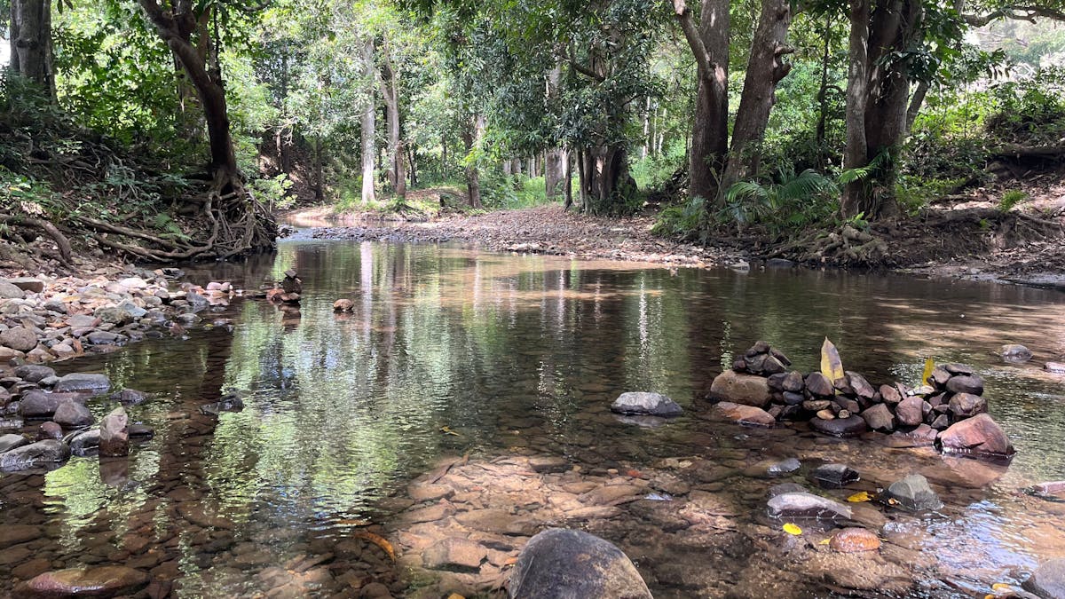 Cattle Camp, Sarina, QLD