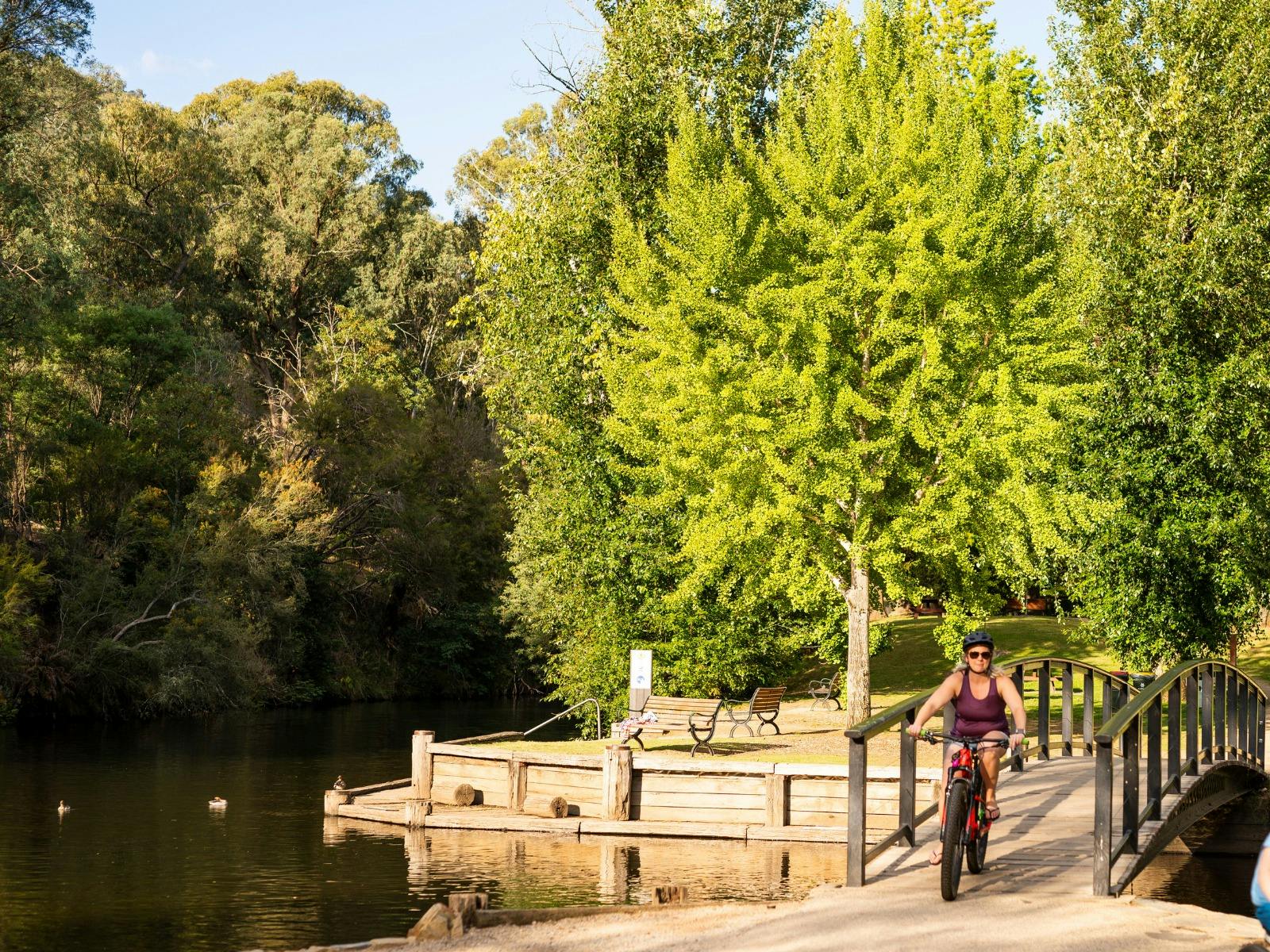 Cyclist on the Murray to Mountains Rail Trail