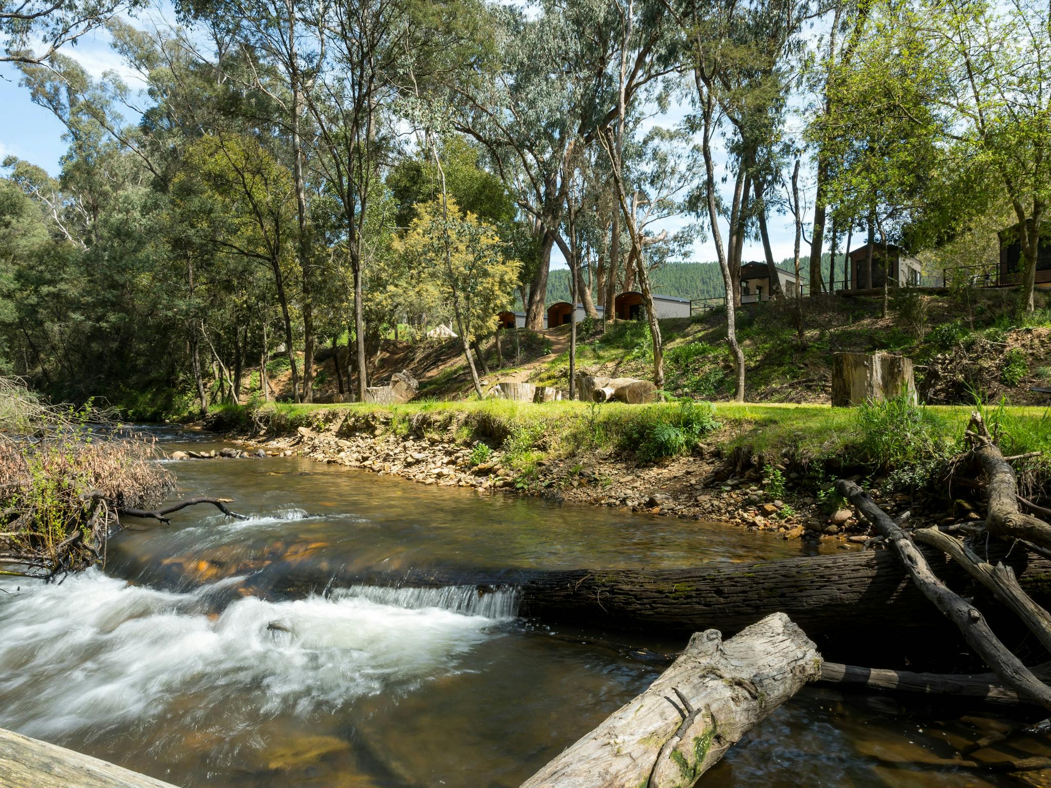 morses creek river in bright