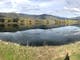 Panoramic shot of a lake with mountains and trees in the background
