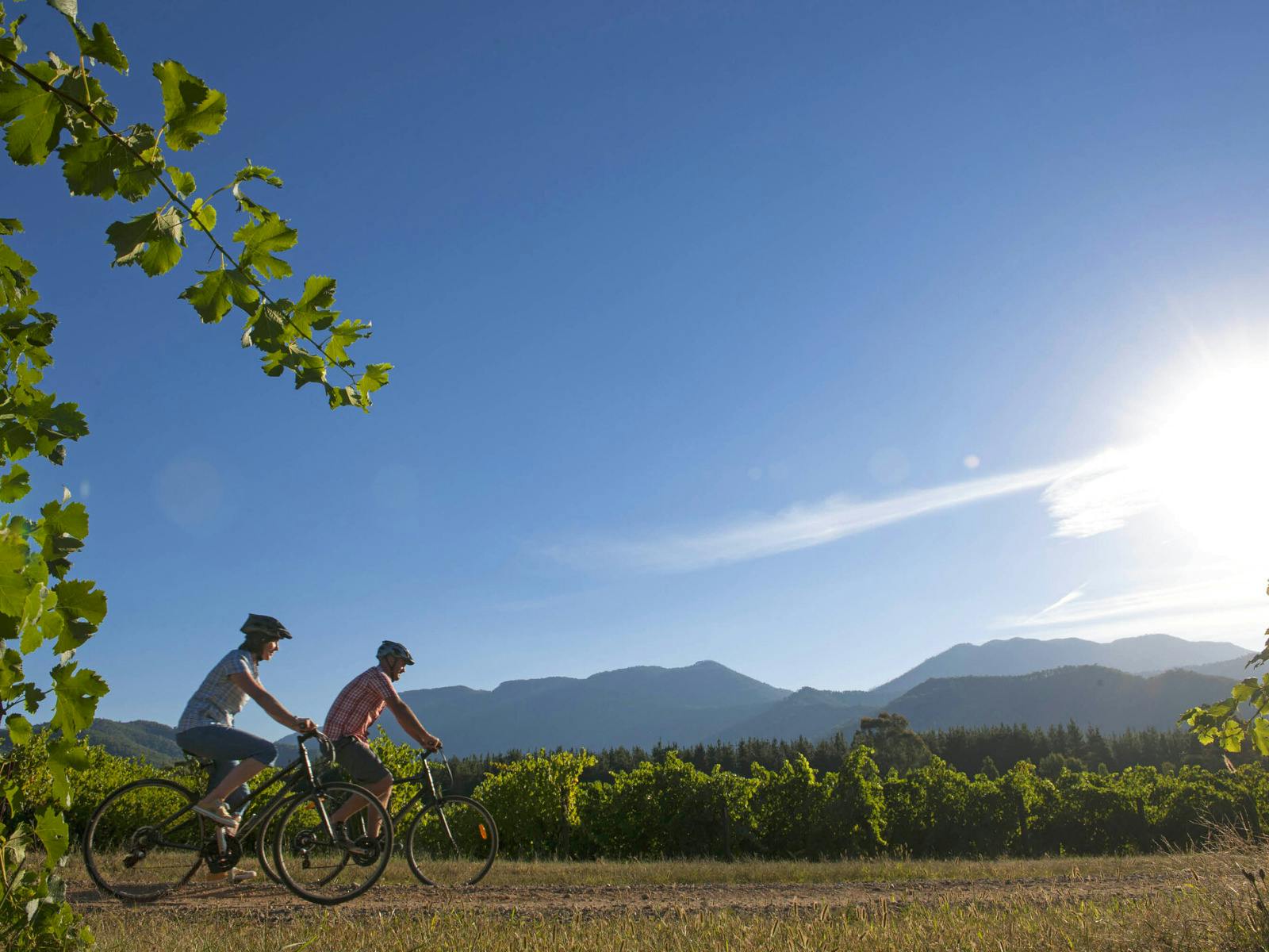 Cyclists on the Great Victorian Rail Trail.
