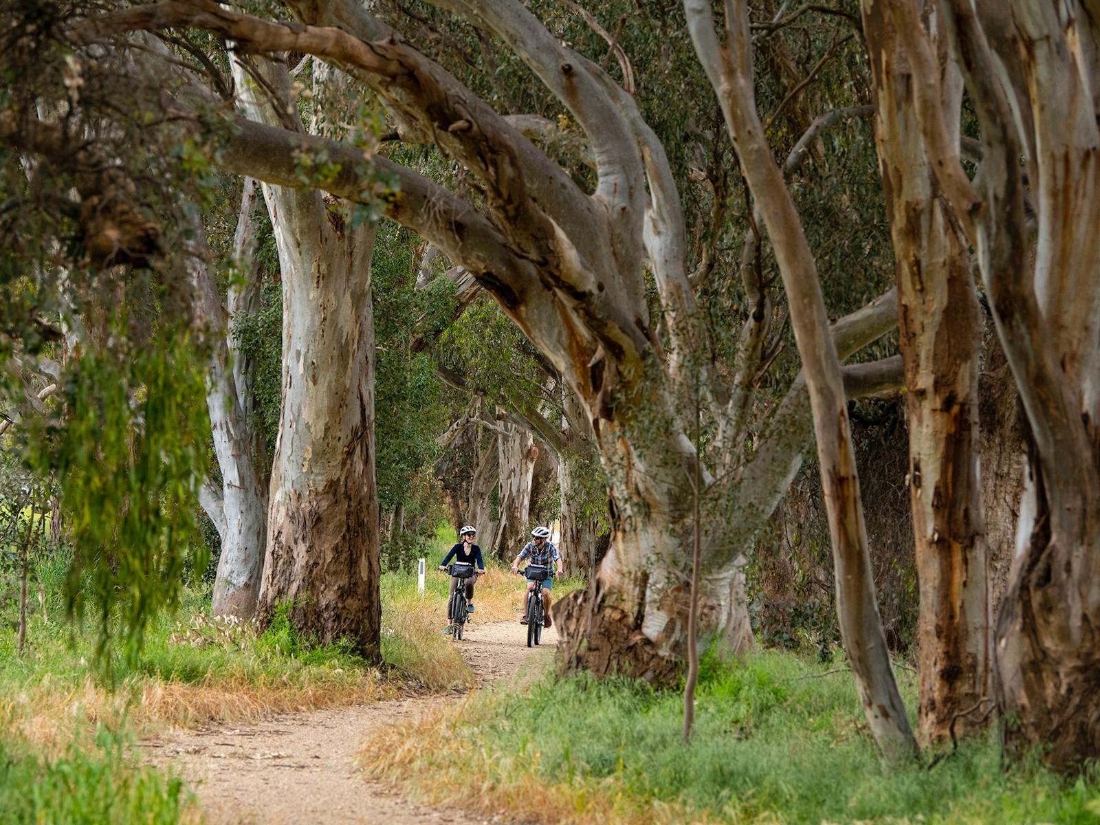 spectacular bicycle touring