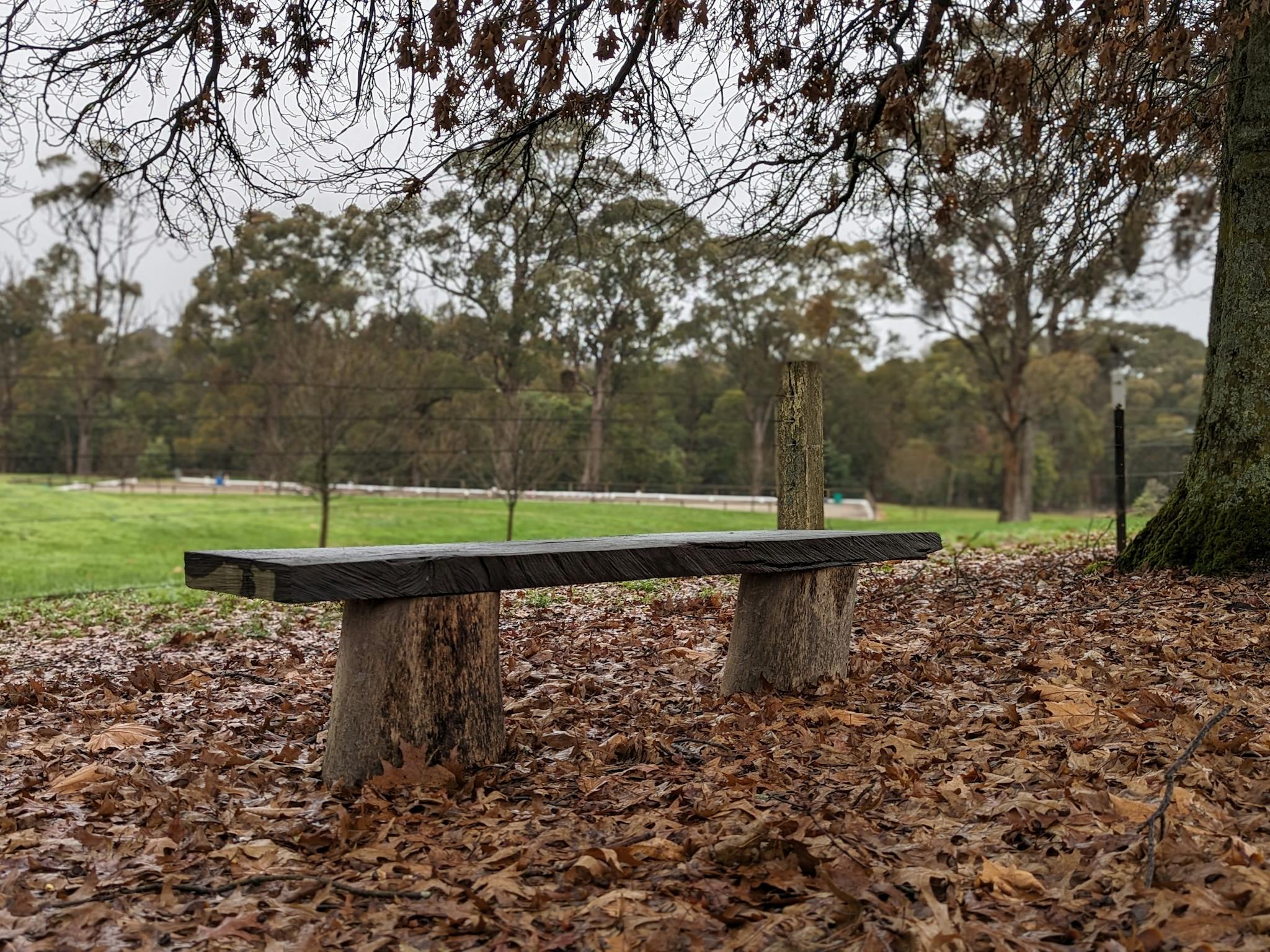 Timer bench seat amongst autumn leaves