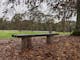 Timer bench seat amongst autumn leaves