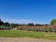 picture of grass and trees