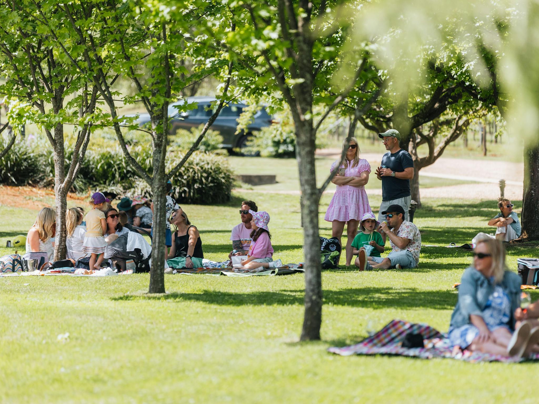 Family enjoying themselves on the lawn at Ringer Reef