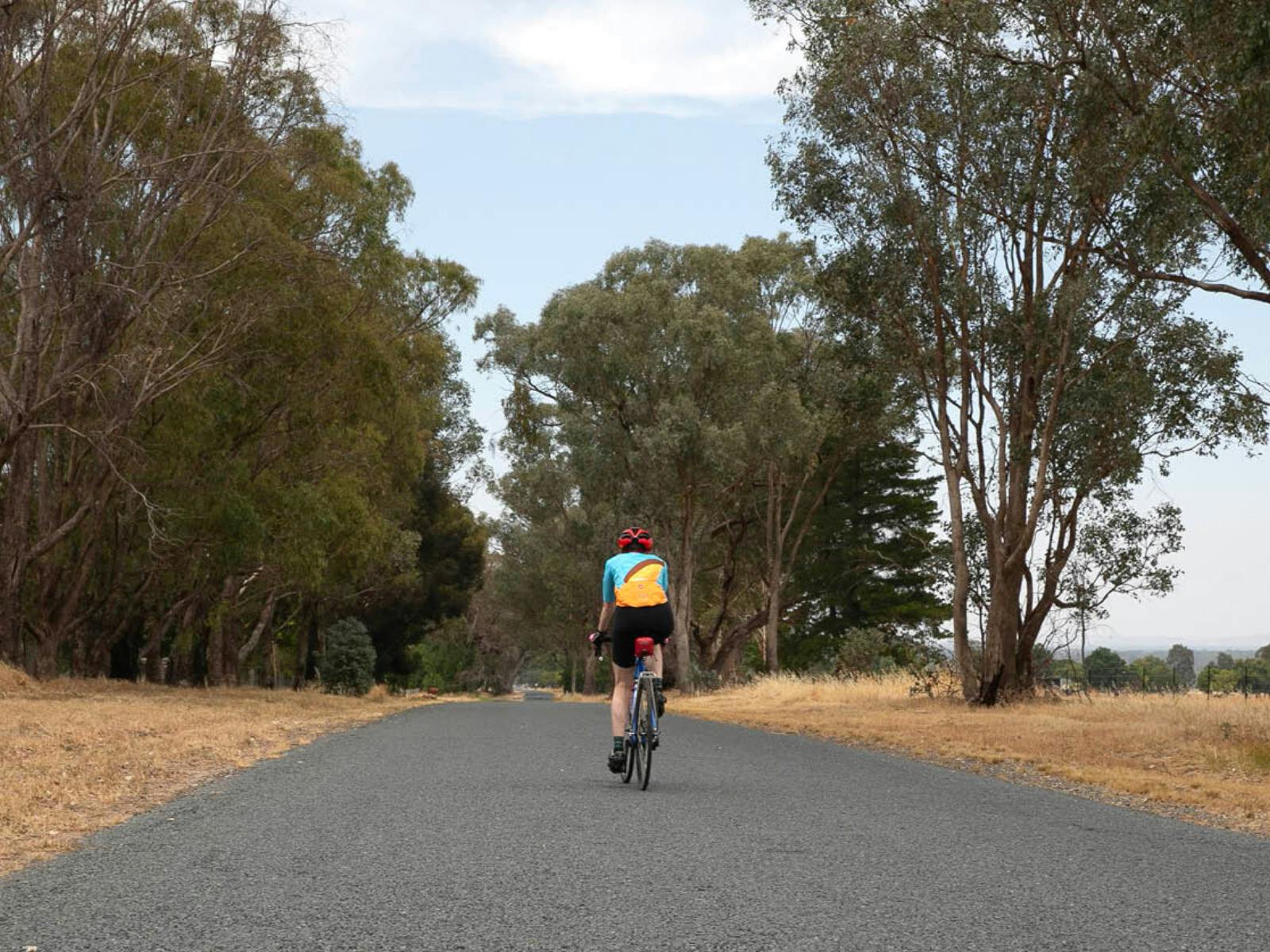 Cycling among classic Australian scenery.