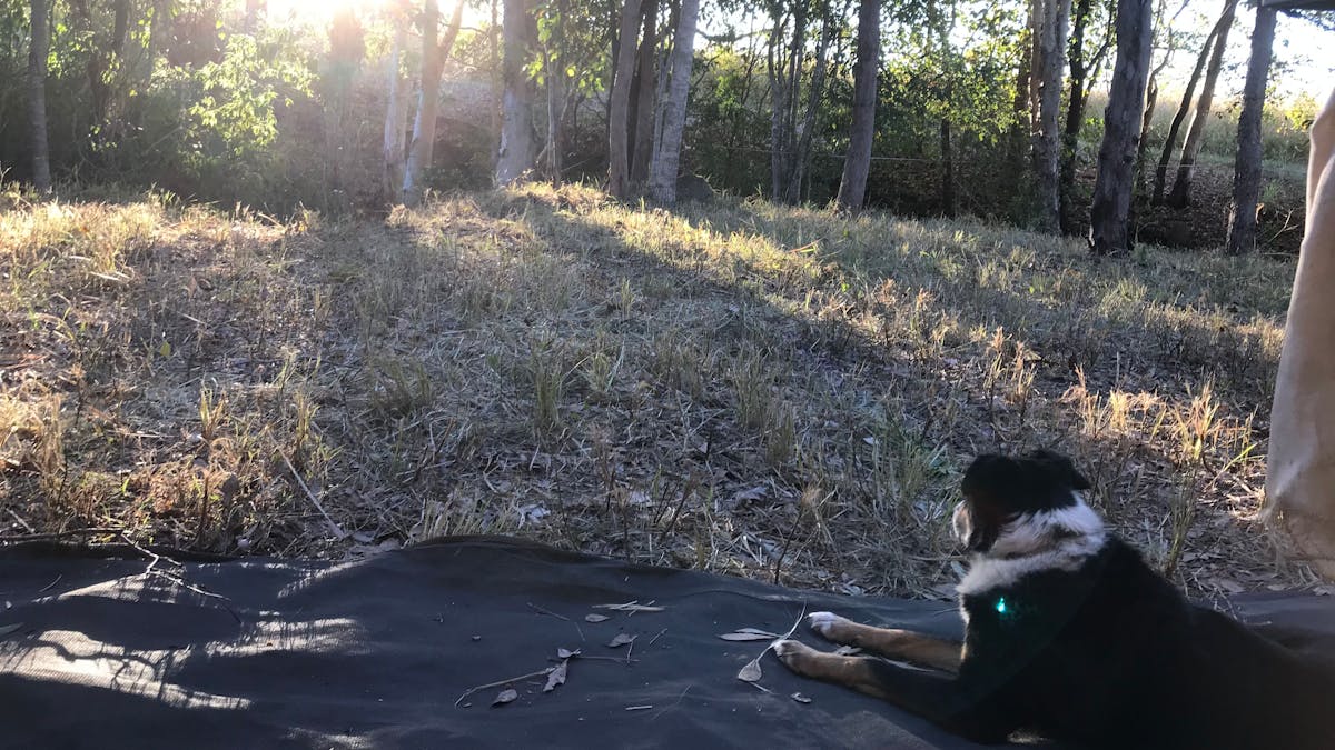 SweetStock, Kuttabul