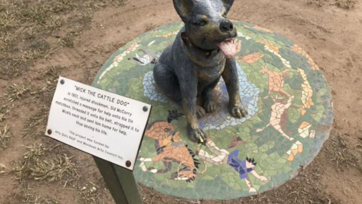 Local statue of Mick the Dog  who saved the life of his owner after he fell from his horse.