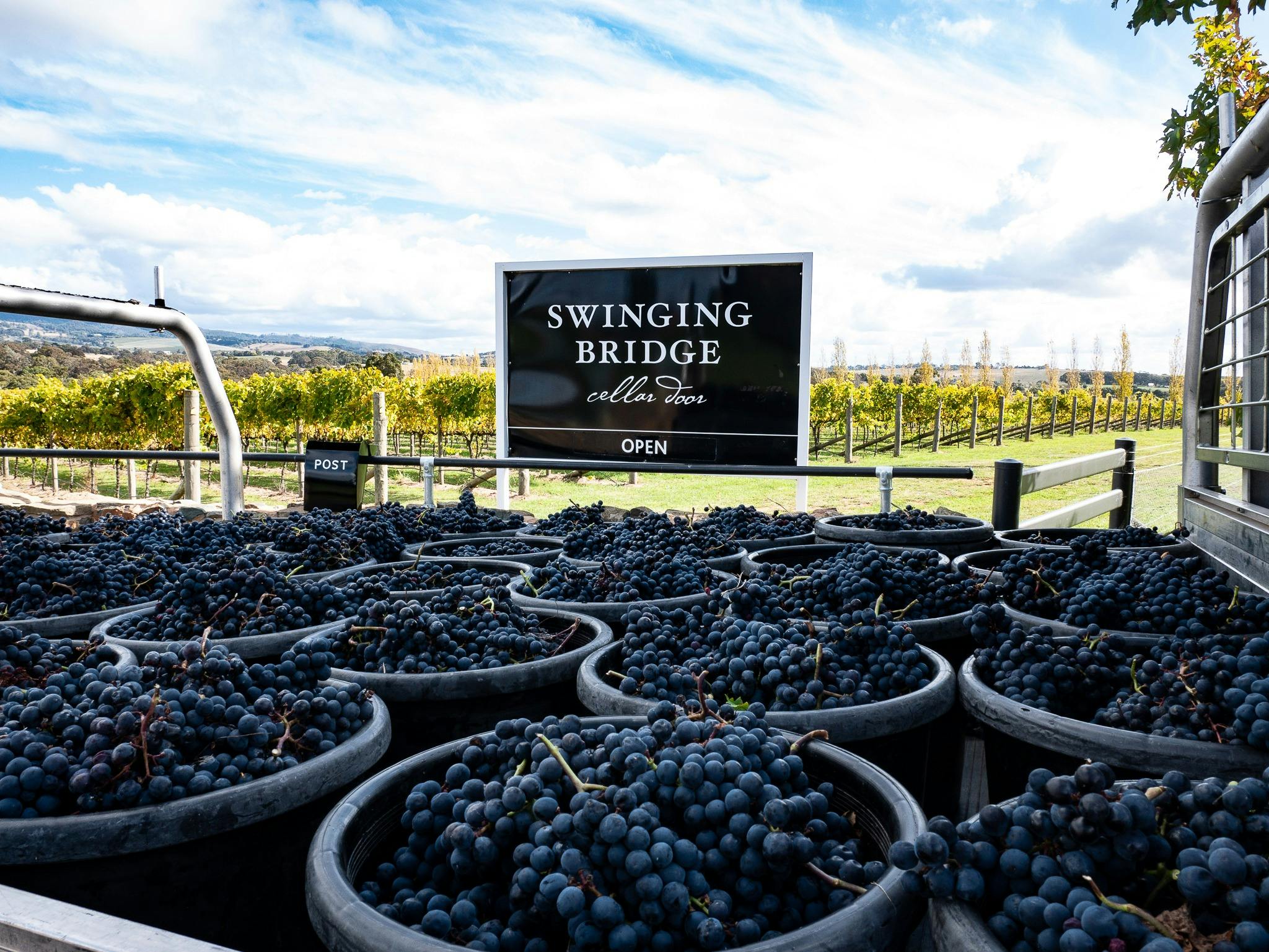 Swinging Bridge, Orange, Wine & Dine, Ultimate Winery Experiences Australia