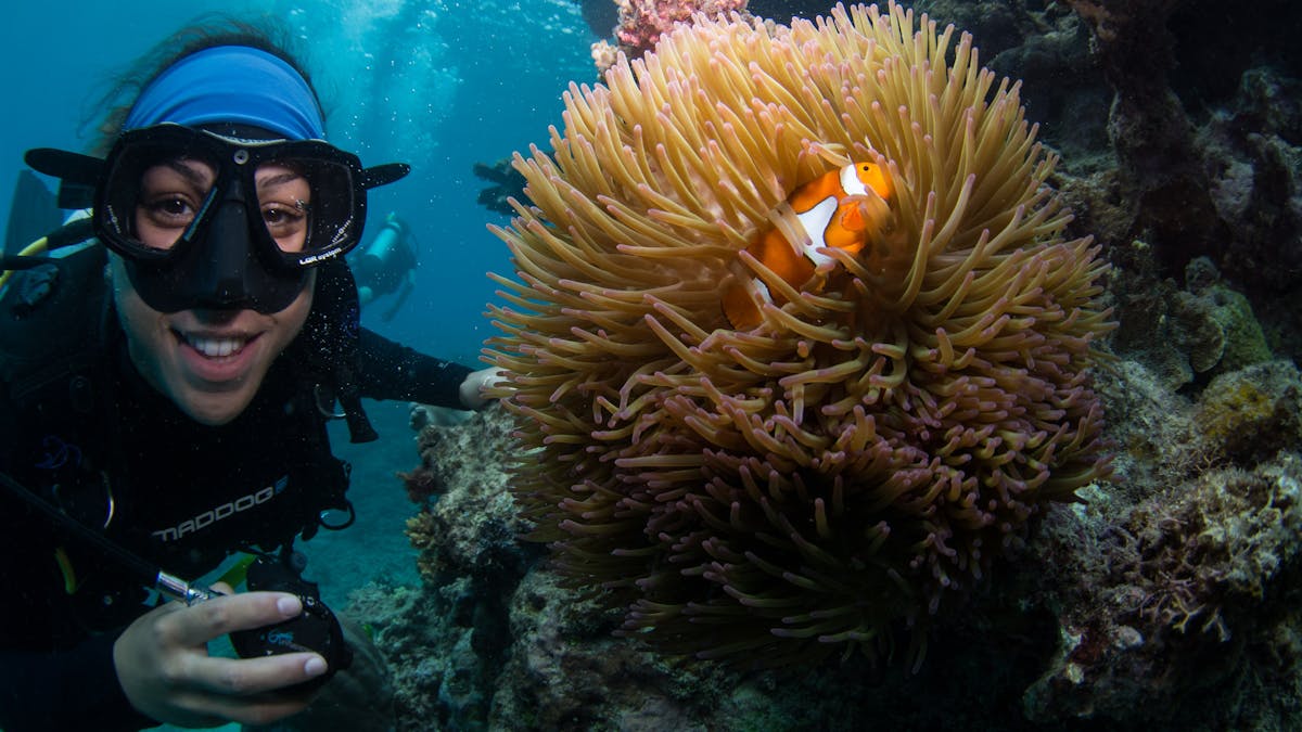 A scuba diver finds nemo on the Great Barrier Reef with Passions of Paradise