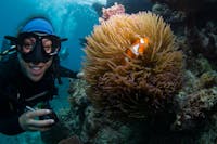 A scuba diver finds nemo on the Great Barrier Reef with Passions of Paradise