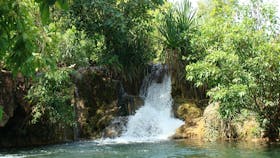 Giwining / Flora River Nature Park