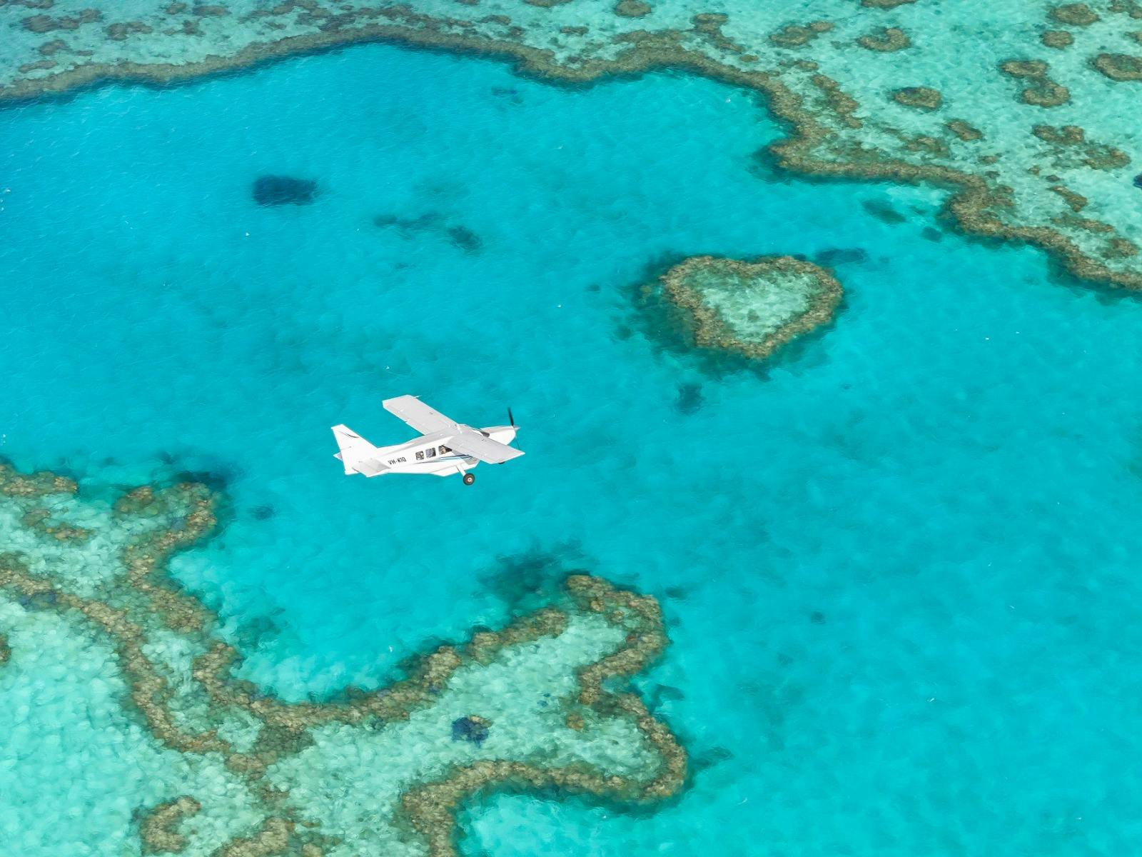 Visit the "Wild Side" with Ocean Rafting