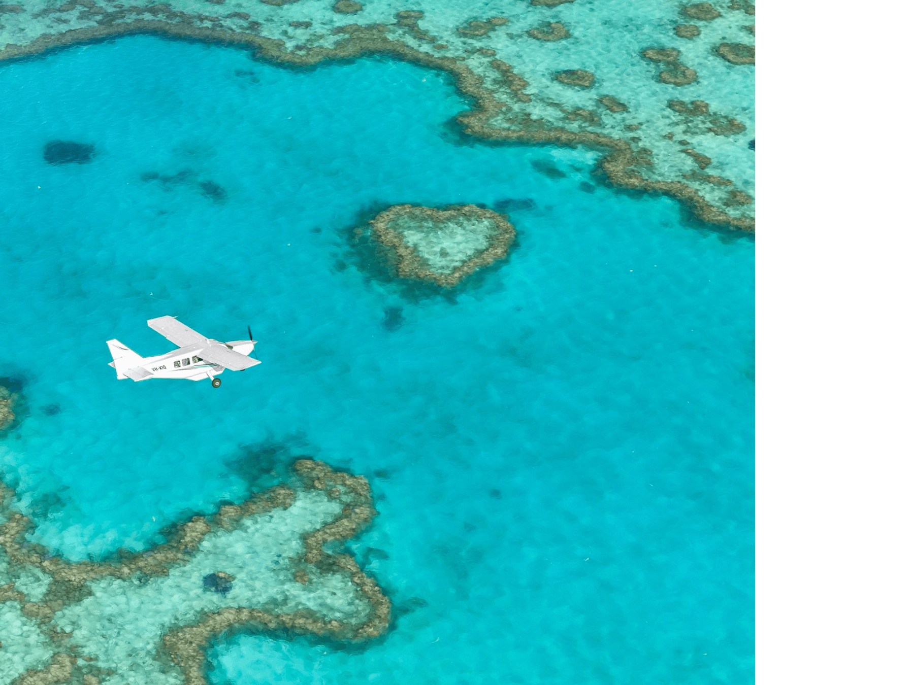 Visit the "Wild Side" with Ocean Rafting