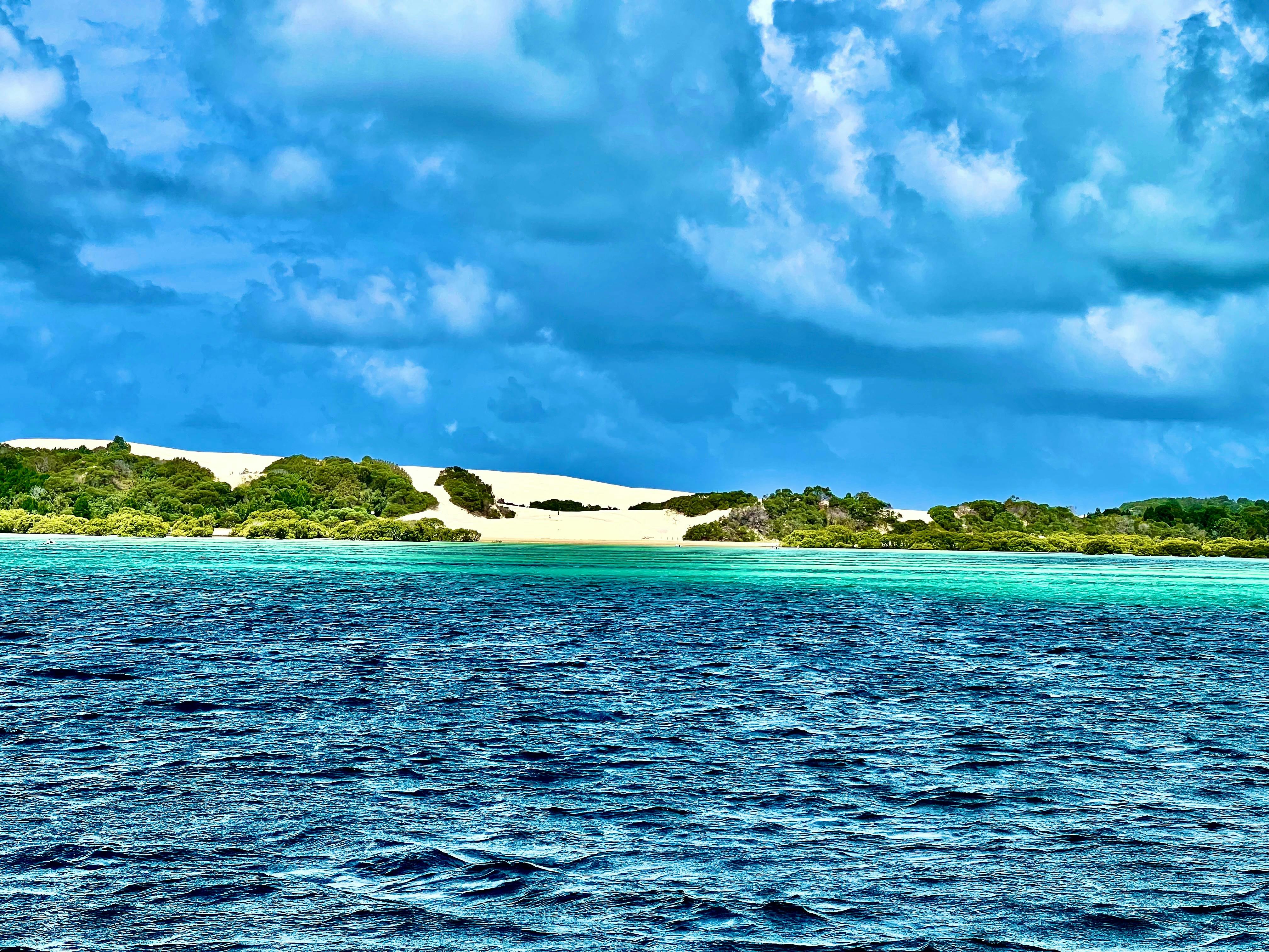 Moreton Island - Sandhills