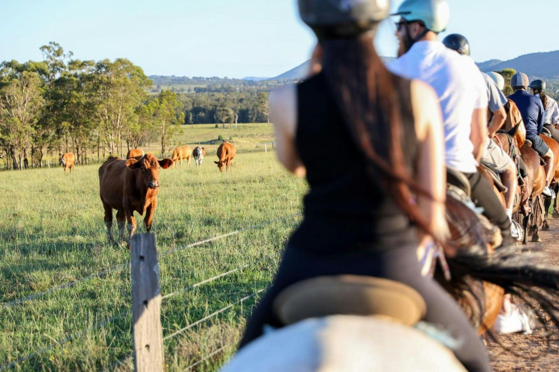 90분 승마 - 부시랜드 트레일