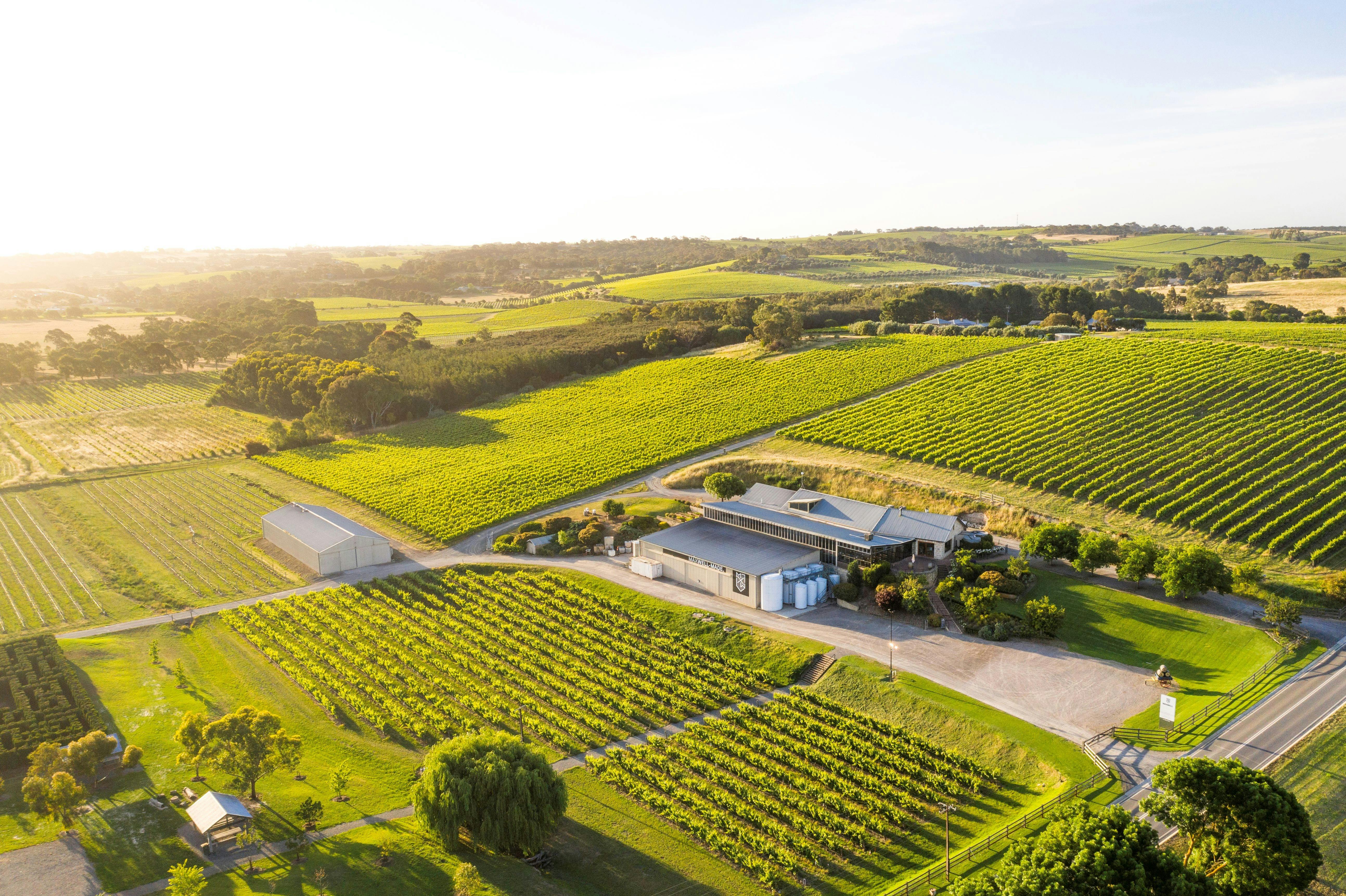 Maxwell Wines