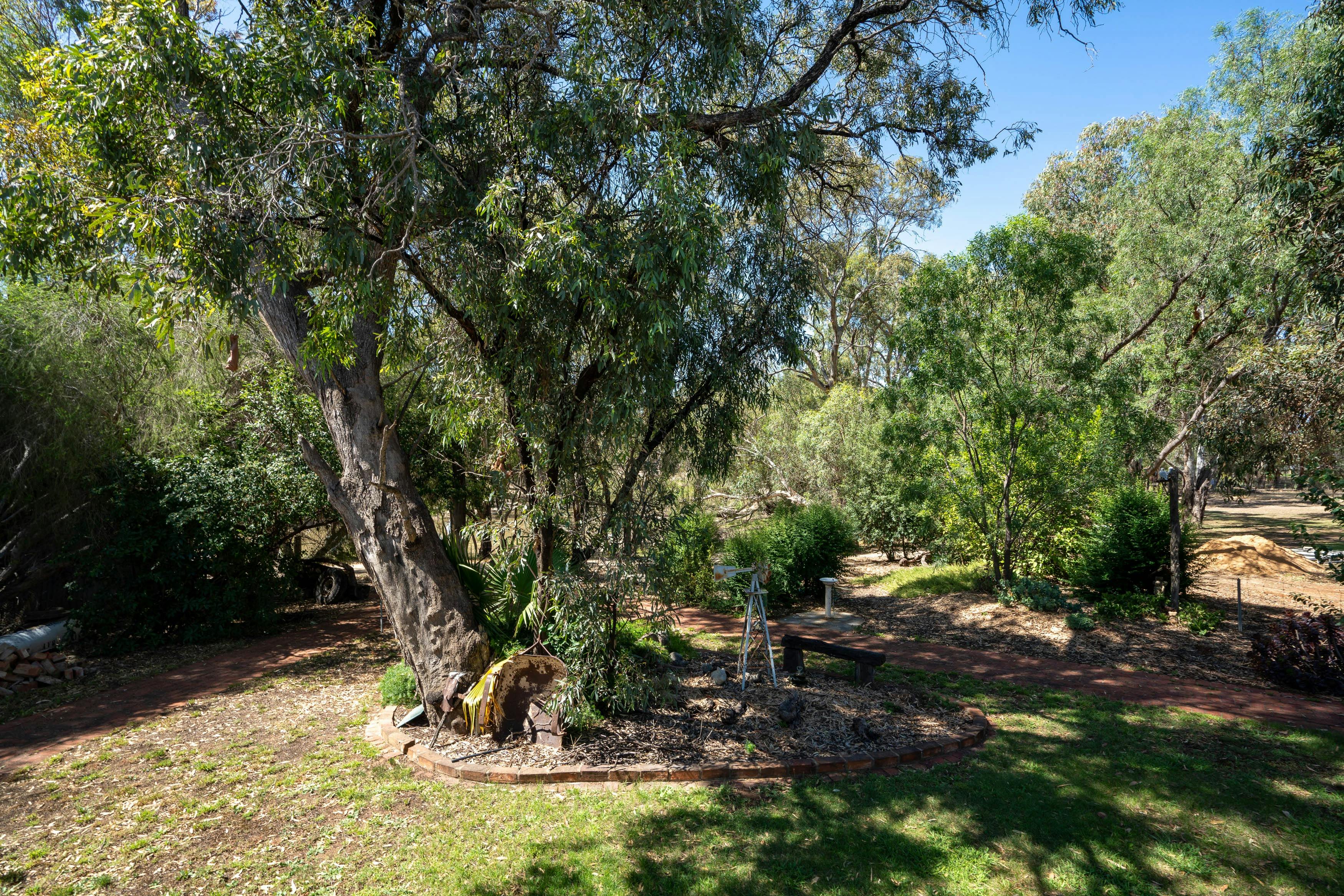 제릴데리 리베리나