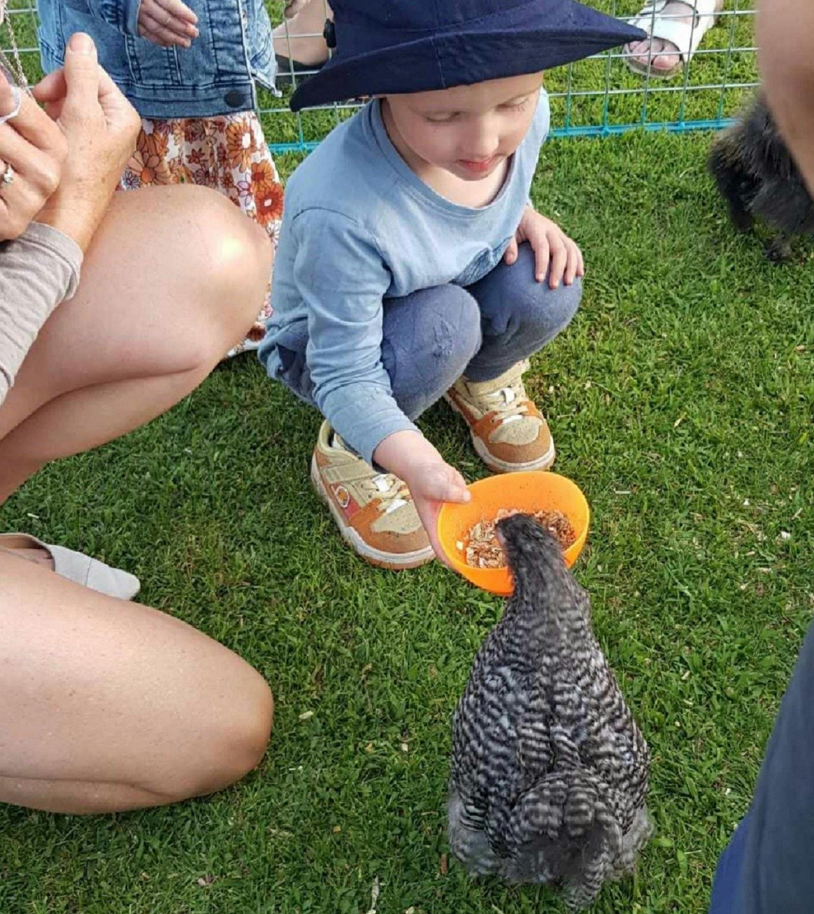 a child feeding a grey bird